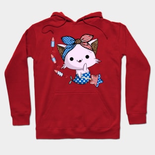 4th of July cat Hoodie